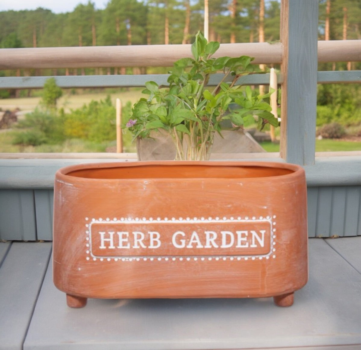 Herb Garden Large Terracotta Planter – Boxzy
