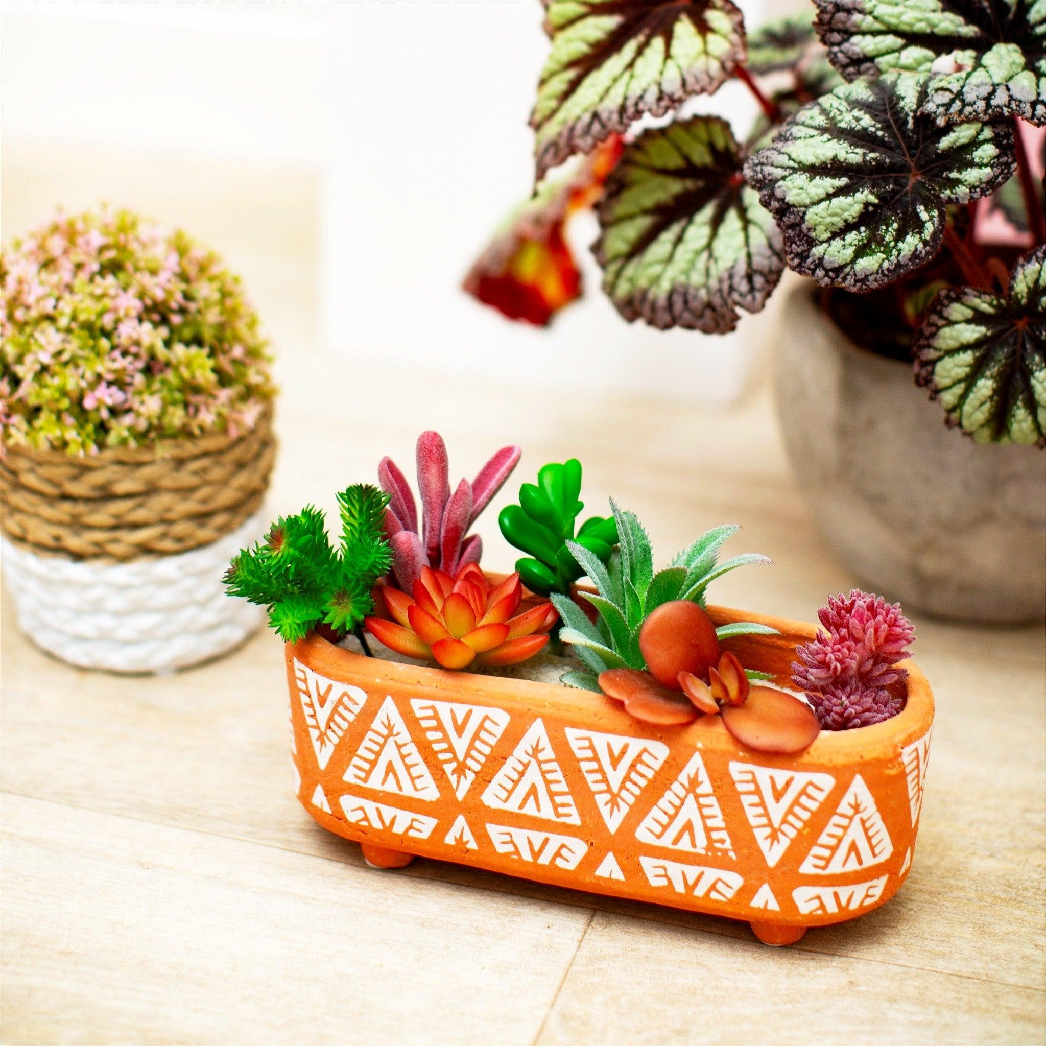 indoor plant troughs uk Terracotta Trough Indoor Planter