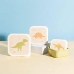 Desert Dino Lunch Boxes - Set Of 3 - Boxzy
