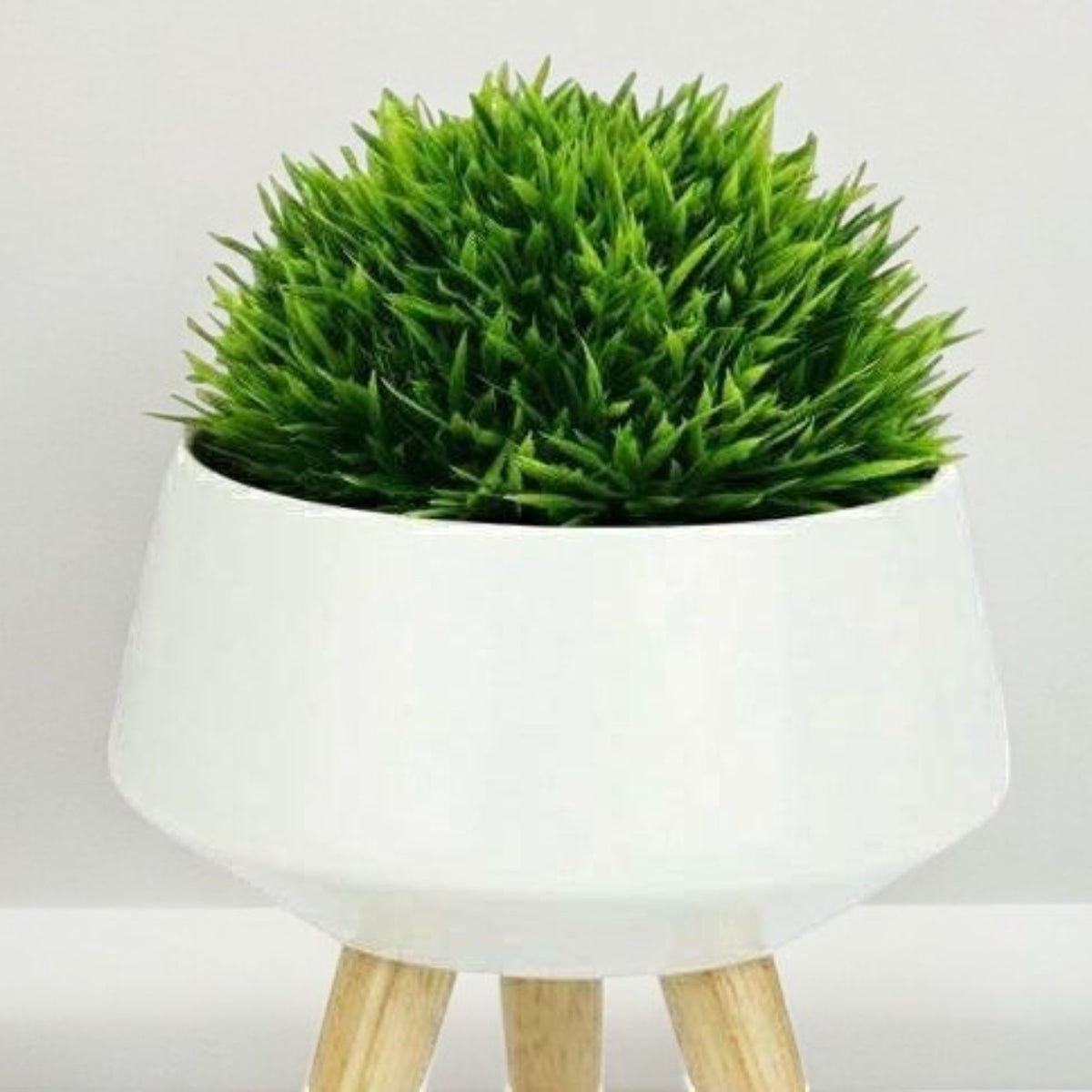 Close-up of the white ceramic planter and wooden legs, with display greenery
