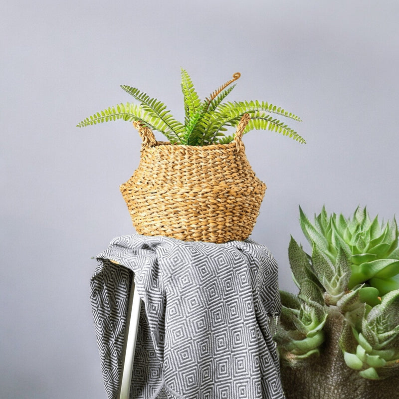 Small natural typha belly basket with a potted fern on a wooden stool