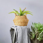 Foldable Typha Wicker Basket | Flower Pot Decor for the Garden