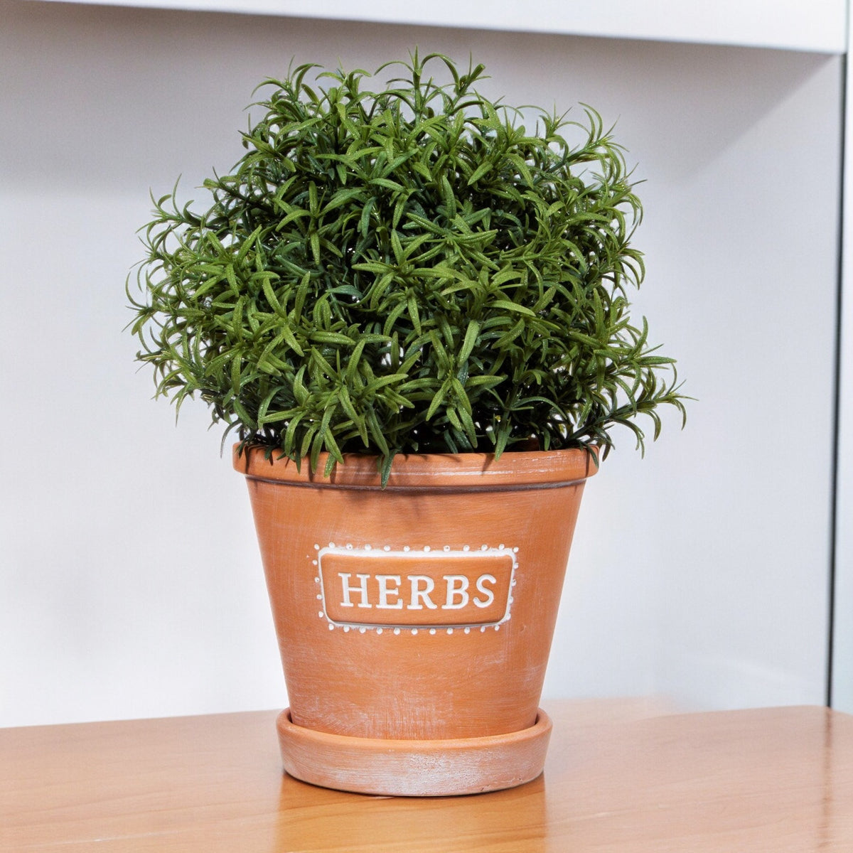 Terracotta herb planter and saucer holding a leafy herb plant