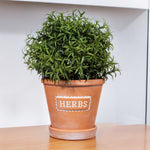 Herbs Terracotta Planter With Saucer