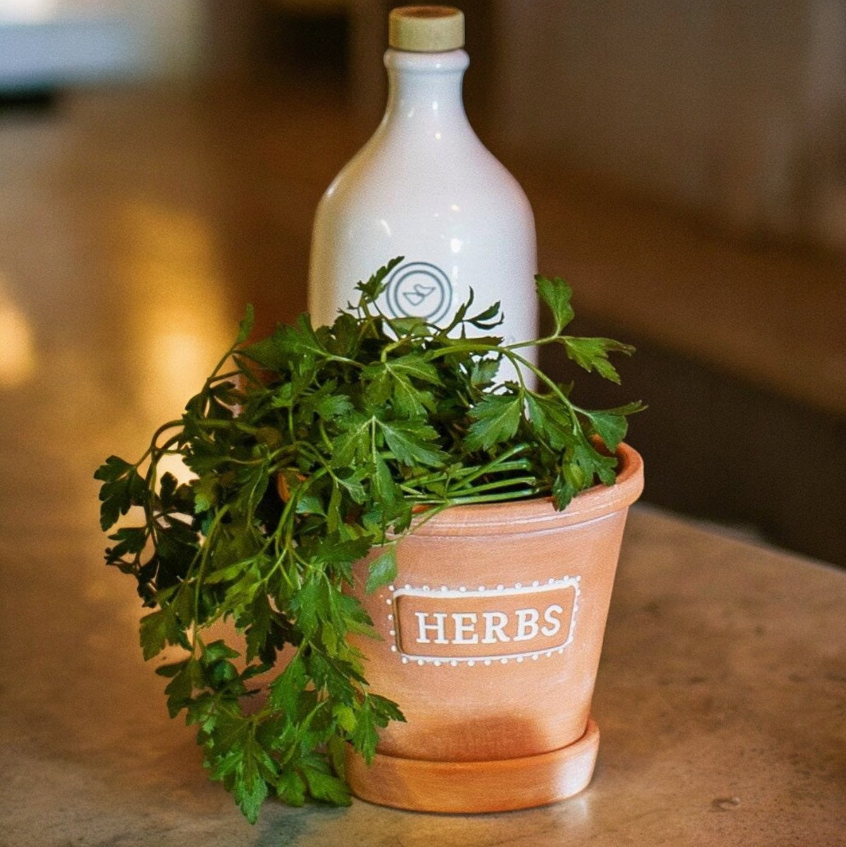 Herb planter styled with trailing green leaves on a kitchen surface