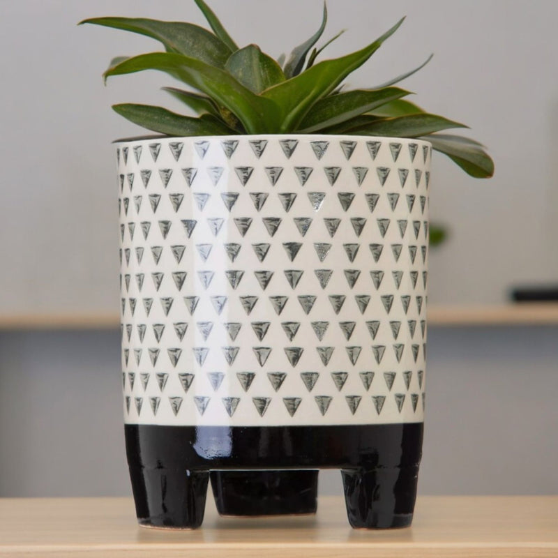 Black-and-white geometric planter on feet holding a leafy plant