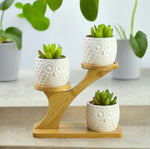Owl Pots With Stand