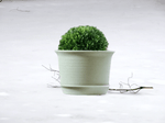 Plastic Plant | Flower Pots Planters - Set of 10 - Boxzy