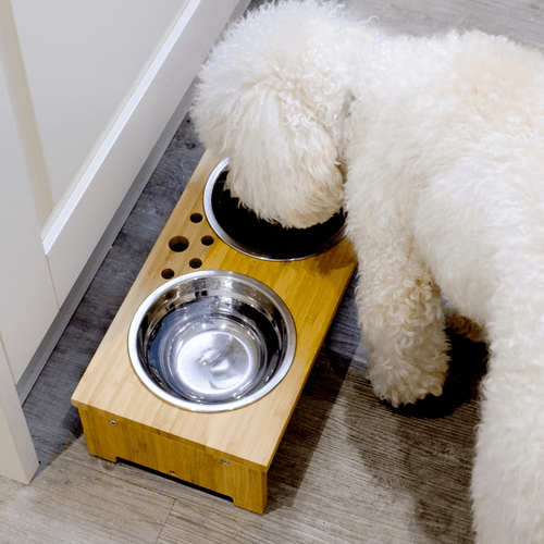 Raised Pet Bowls | For Dogs & Cats Medium - Boxzy
