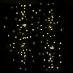 String Fairy Lights 200 LED, 20m, Warm White - Boxzy