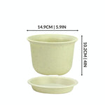 Plastic Plant | Flower Pots Planters - Set of 10 - Boxzy