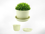 Plastic Plant | Flower Pots Planters - Set of 10 - Boxzy