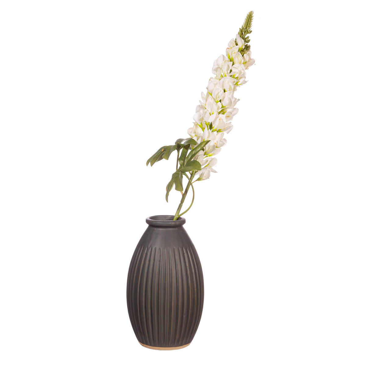 Black grooved vase styled with a single stem