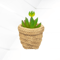 Small basket-textured cement pot holding a succulent
