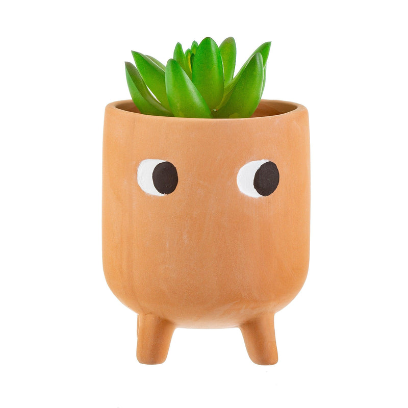 Little Leggy terracotta planter with eyes holding a small succulent
