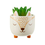 Compact planter ideal for windowsills, bookshelves, or desktops, Rustic and charming planter with a woodland theme