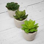 Set of 6 Artificial Fake Succulent Plants - Boxzy