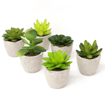 Set of 6 Artificial Fake Succulent Plants - Boxzy