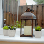 Set of 6 Artificial Fake Succulent Plants - Boxzy
