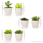 Set of 6 Artificial Fake Succulent Plants - Boxzy